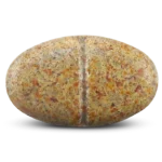 Fruits and Vegetables Supplement – Nutrilite Concentrated