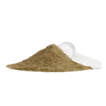 GI Health Supplement – Nutrilite Begin Daily GI Primer