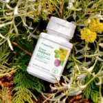 Liver Support Supplement – Nutrilite Liver Support Formula