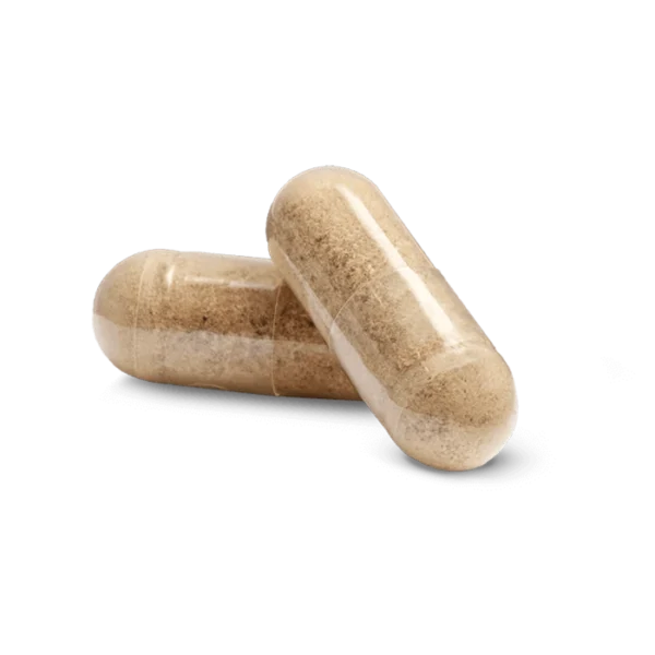 Nutrilite Organics Ashwagandha Capsules – Stress & Sleep Support