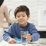 eSpring Water Filter – Above the Counter Unit with Diverter